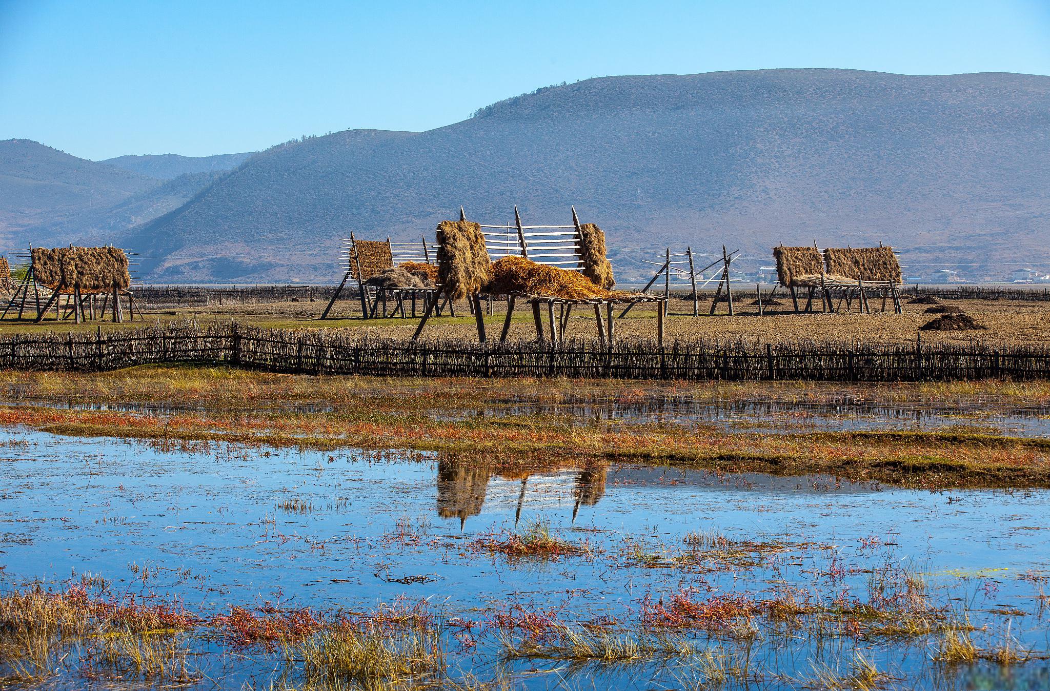 纳帕海:云南最神秘,最美丽的湿地 纳帕海,位于中国云南省迪庆藏族自治