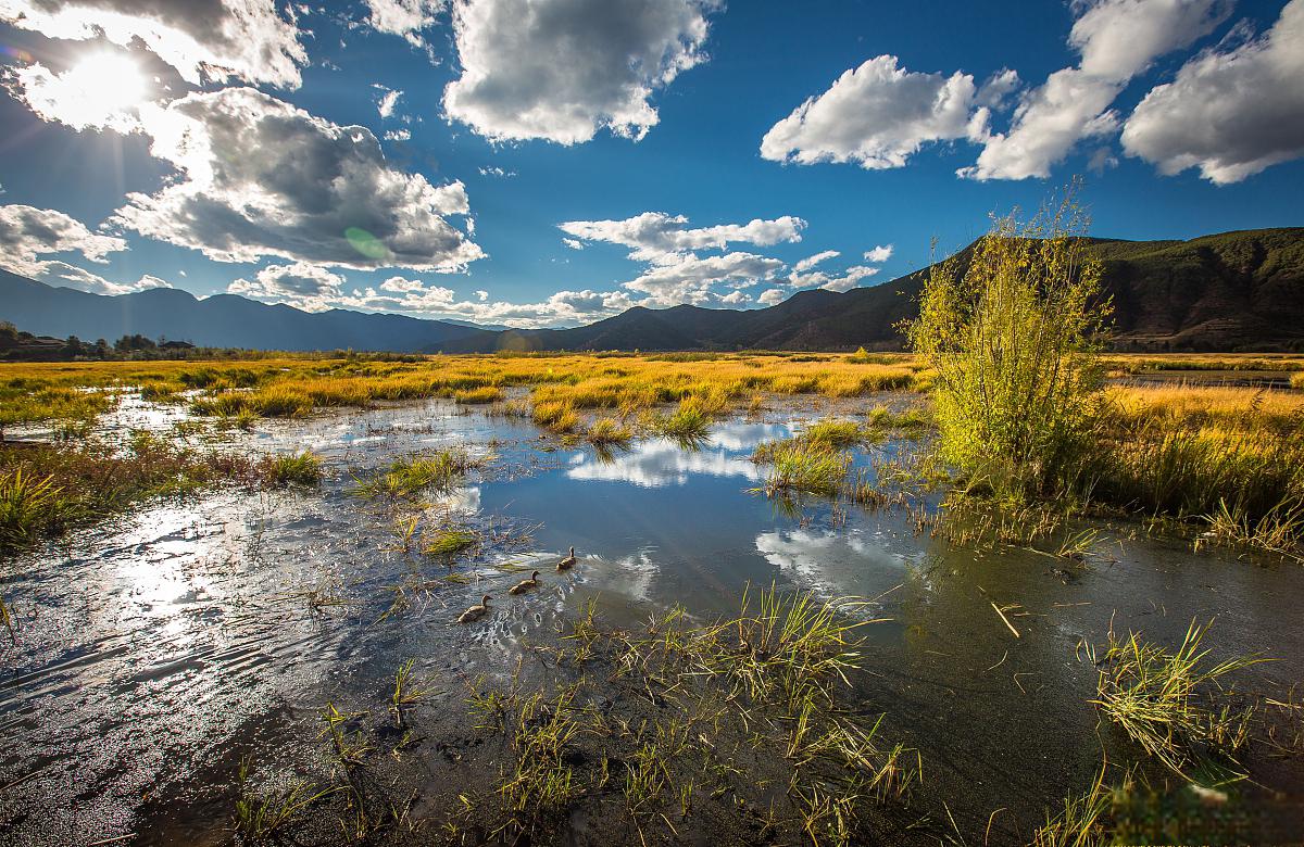 纳帕海:云南最神秘,最美丽的湿地 纳帕海,位于中国云南省迪庆藏族自治