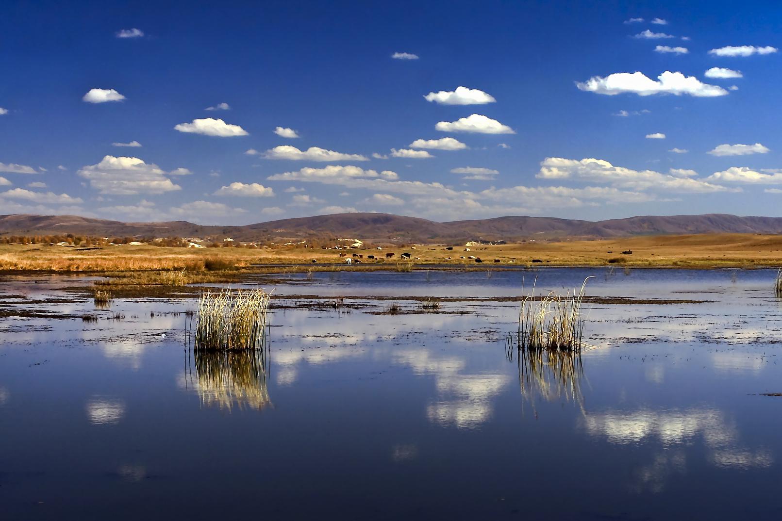 纳帕海:云南最神秘,最美丽的湿地 纳帕海,位于中国云南省迪庆藏族自治