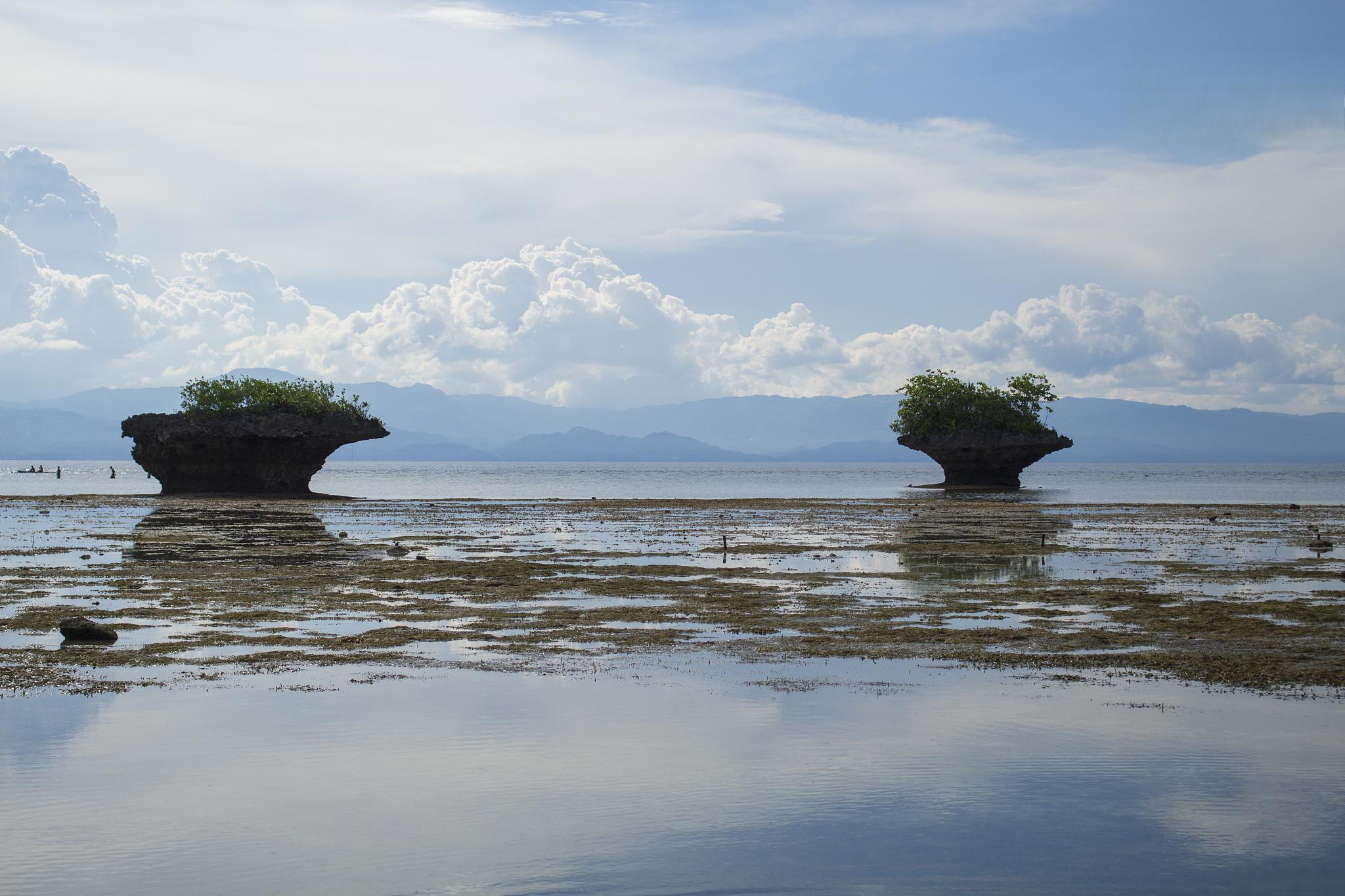 云南抚仙湖旅游攻略 云南抚仙湖是一个集自然风光,历史文化,地方特色