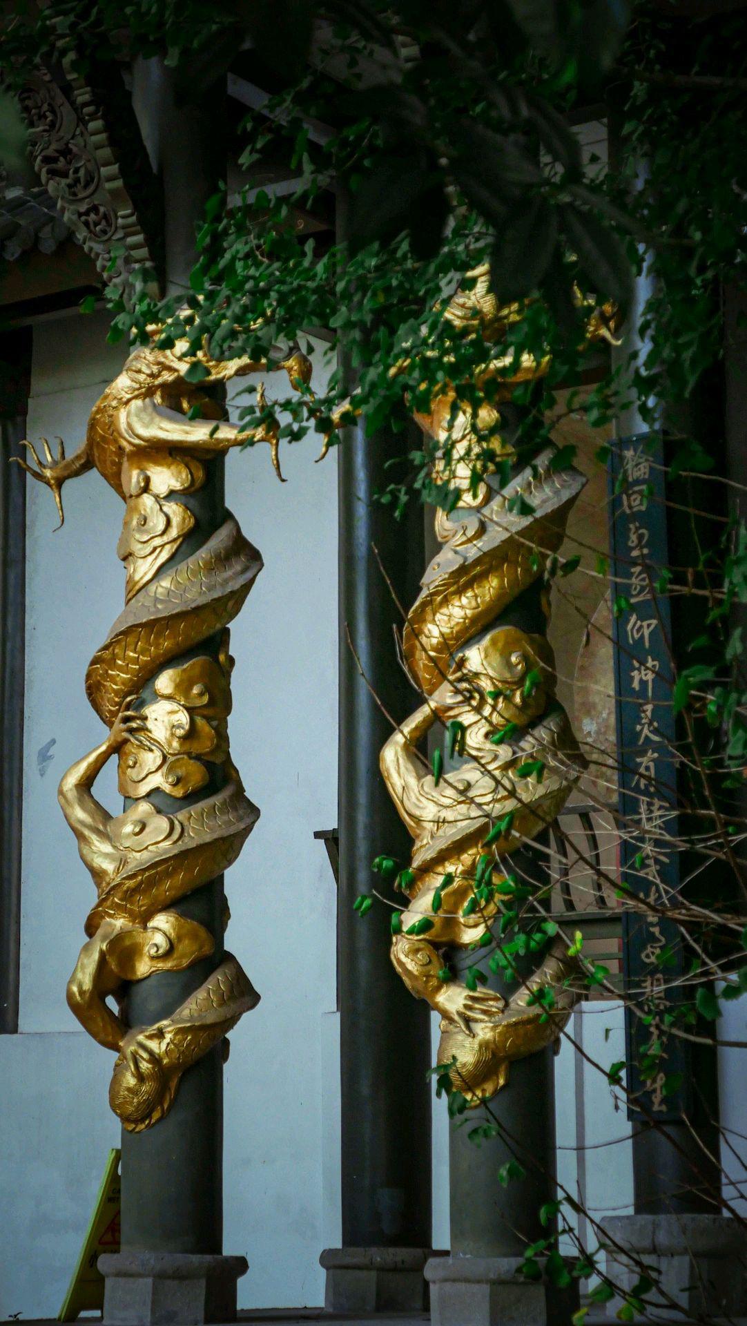 重庆缙云山绍龙观 重庆缙云山绍龙观,依山而建,气势恢宏,是一处宁静