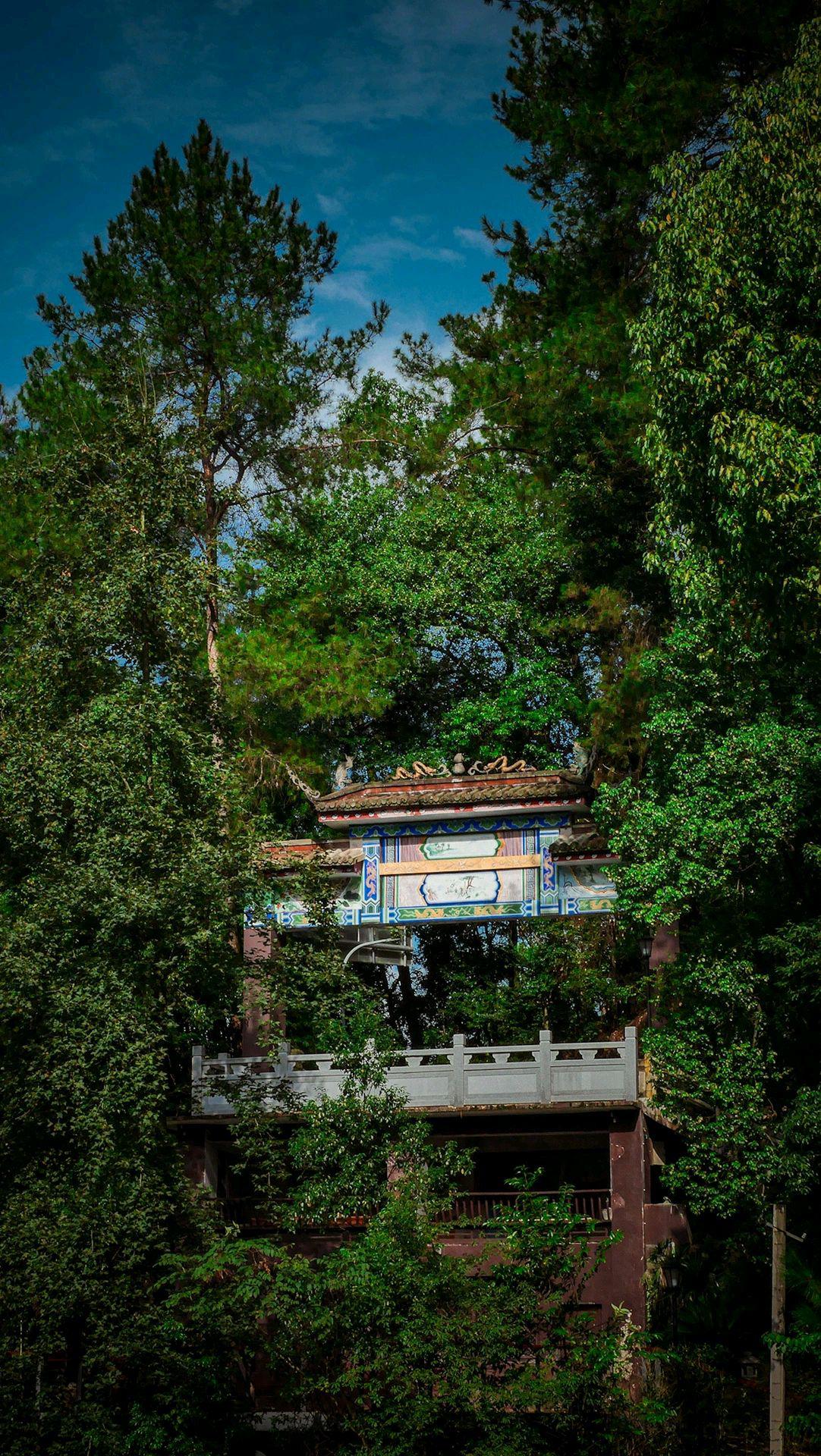 重庆缙云山绍龙观 重庆缙云山绍龙观,依山而建,气势恢宏,是一处宁静