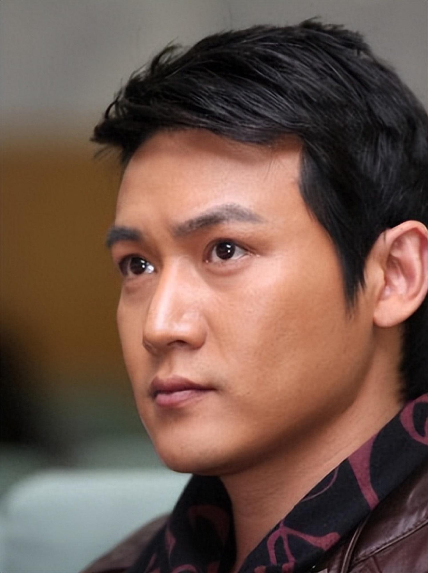 陆毅:我这辈子最后悔的一件事 陆毅因为公司的安排,走上了歌唱道路