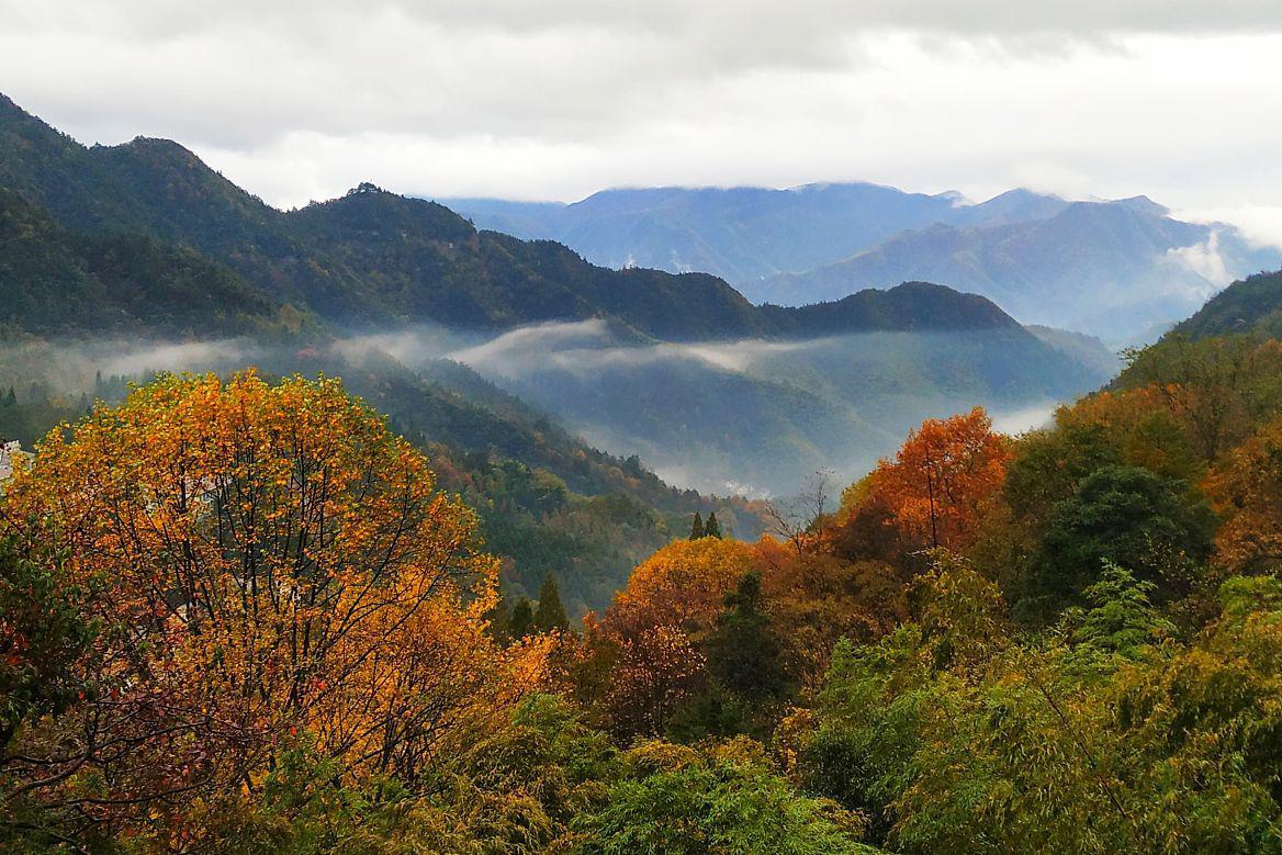 秋日明月山一日游攻略 秋天的明月山