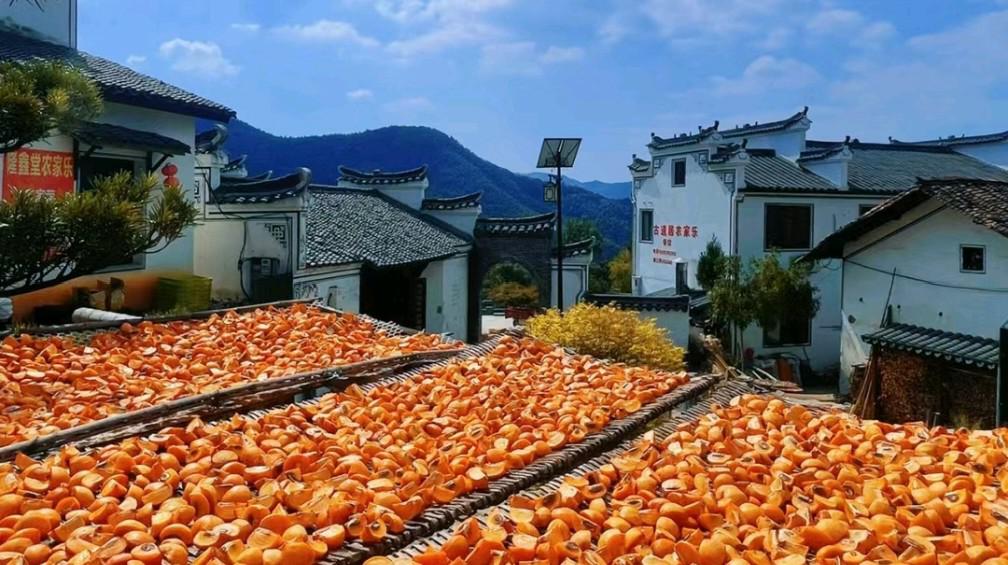 东坪古道和古村落 在浙江省衢州市衢江区峡川镇的深山里隐藏着一条
