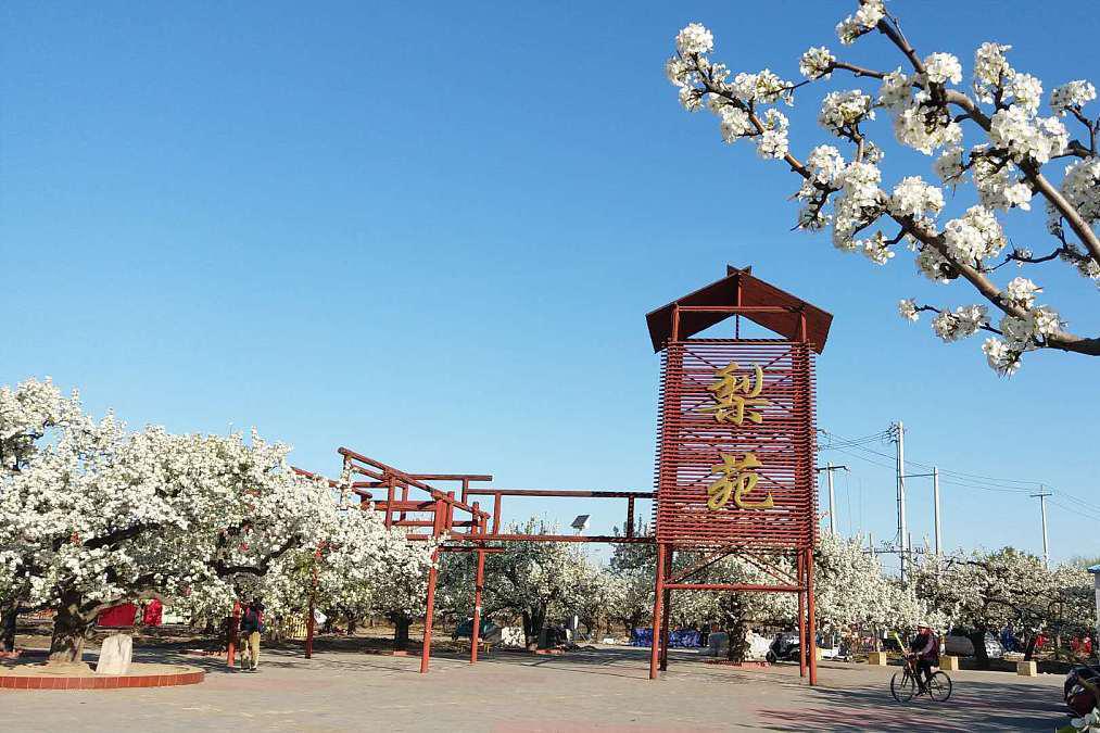 大梨树村旅游景点详解 大梨树村,位于中国辽宁省大连市金州区,是一个
