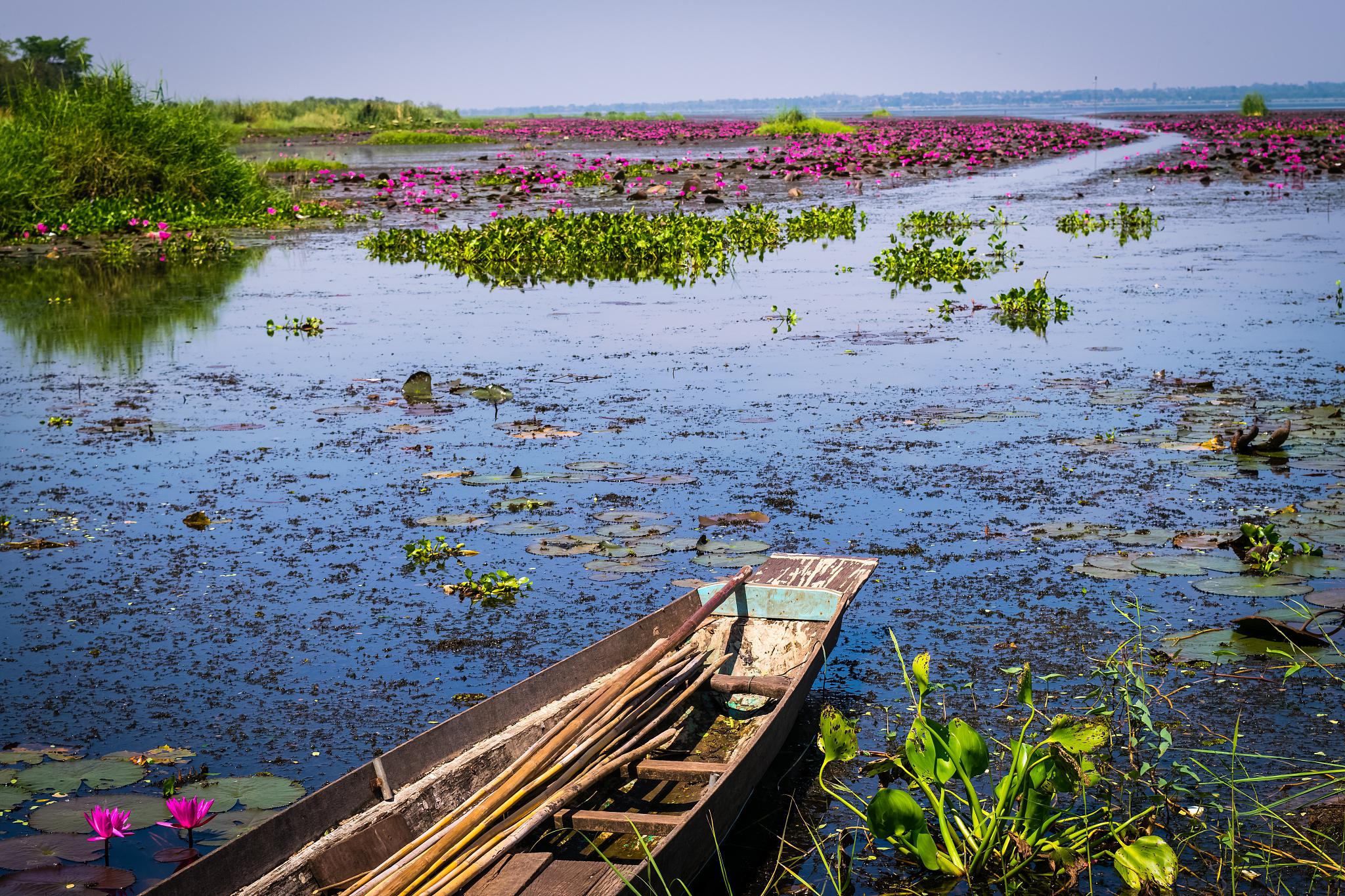 五通莲花岛风景区图片