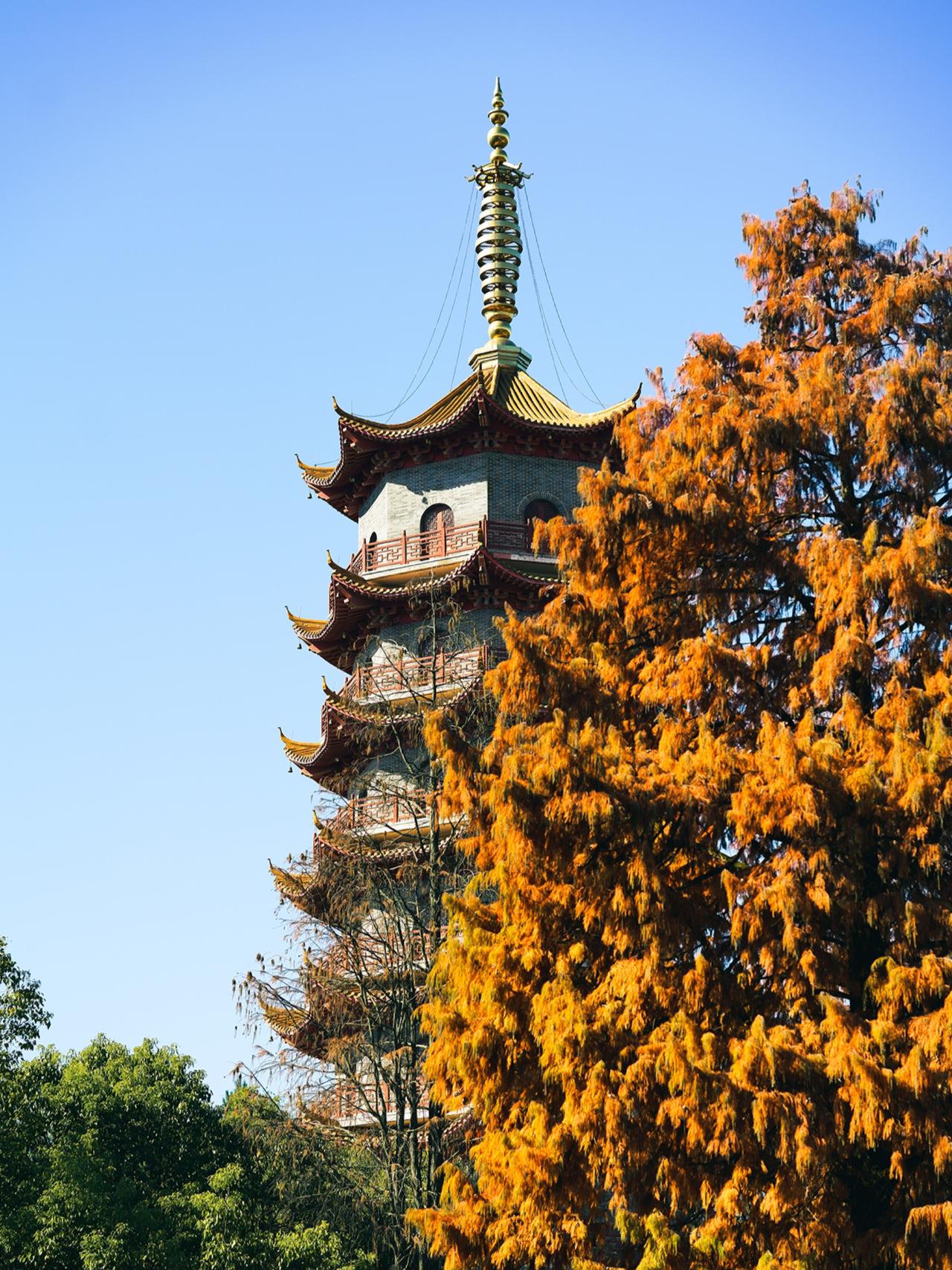 杭州余杭梧桐寺,一个真正冷门的寺庙 杭州余杭梧桐寺是一个冷门的寺庙