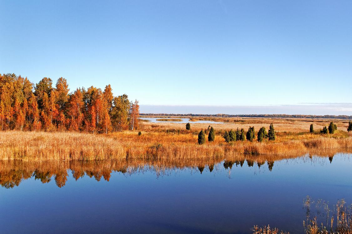 可可苏里湖:秋天的水鸟天堂 在秋天的可可苏里湖畔,大自然呈现出了一