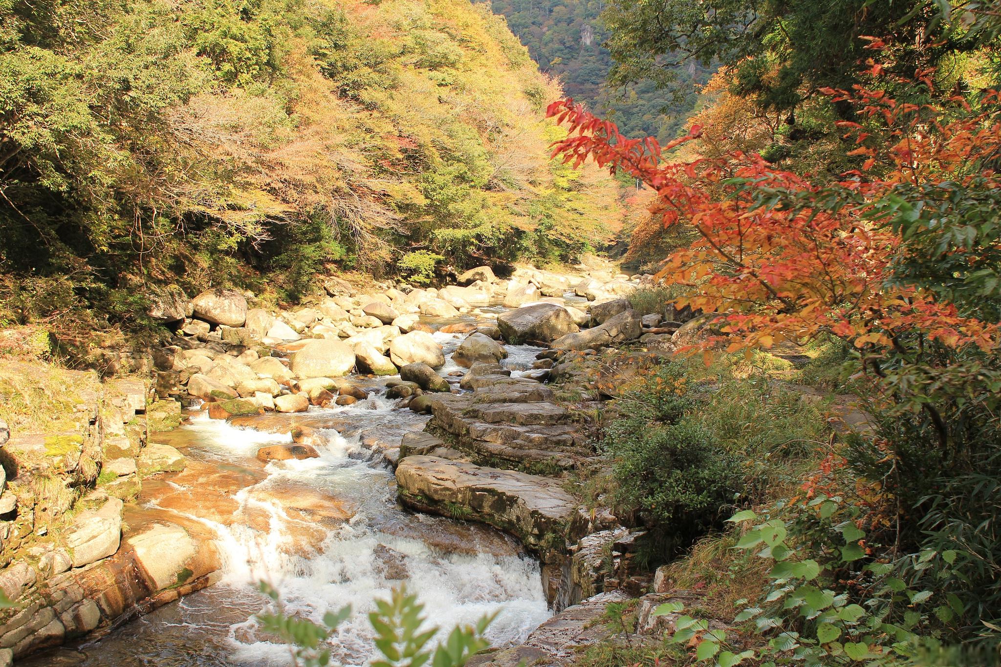鹿院坪旅游攻略 鹿院坪位于湖北省恩施州屯堡乡,是一个深山峡谷中的