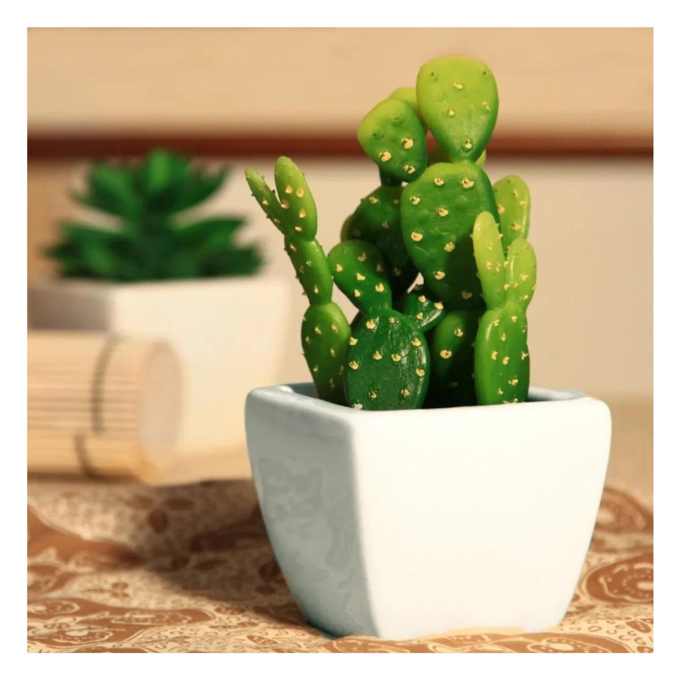 办公室绿植的选择 绿色植物有利人的情绪和提升人的精神,一般无论是