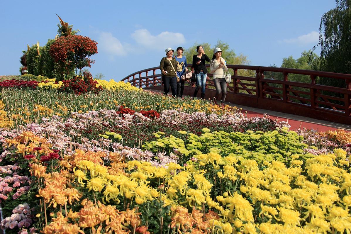 盘龙大观园,湘潭秋季赏菊的好去处 湘潭,这个美丽的城市,秋季的风景更