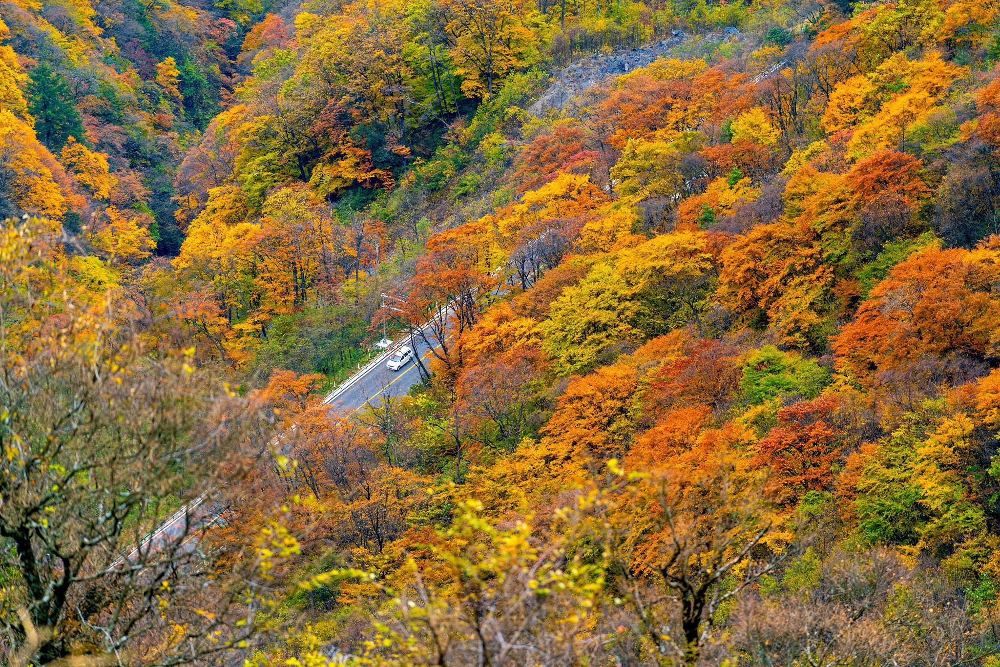 陕西最美10处秋景 秋天的陕西,宛如画中游.
