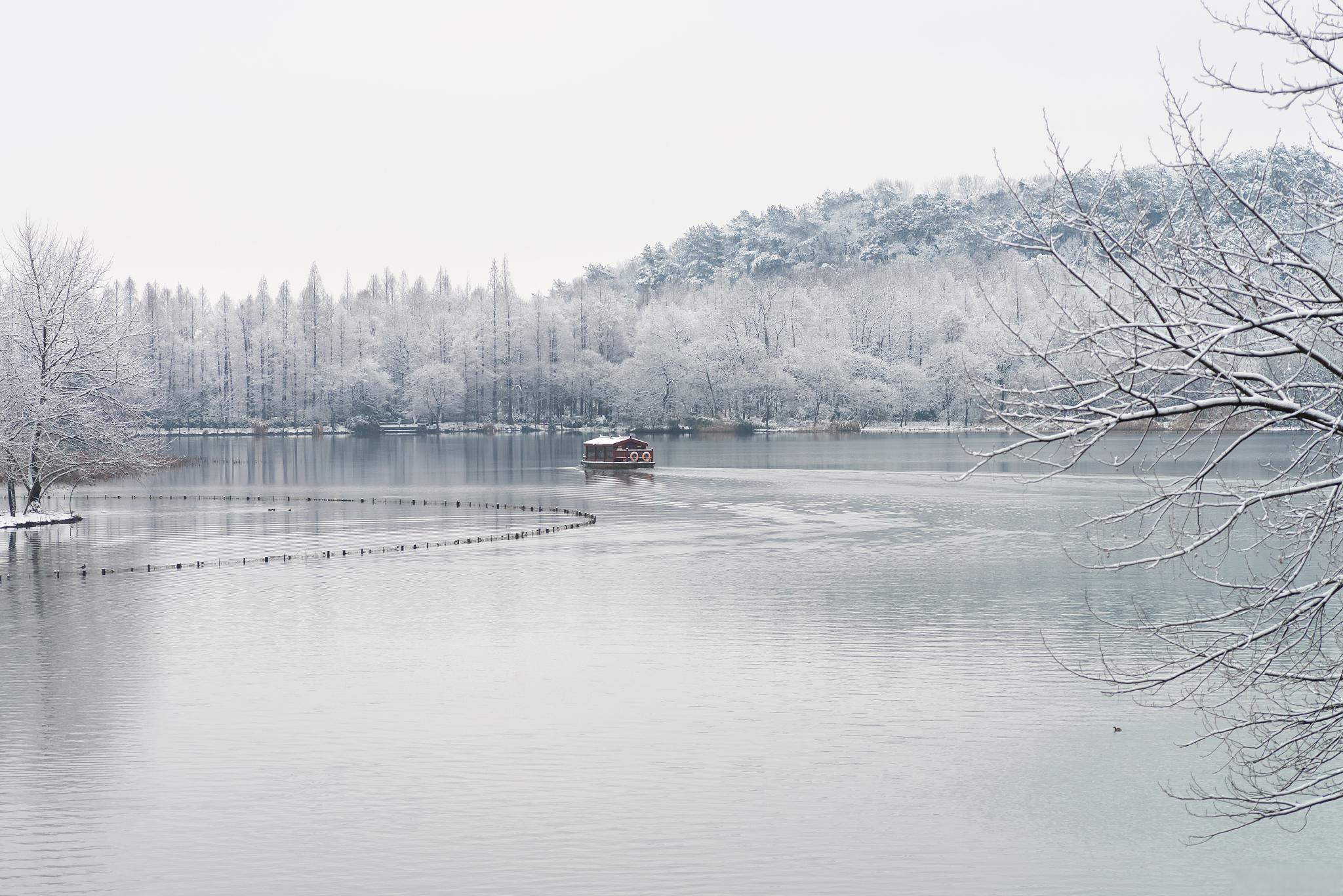 南京冬季最美的地方——玄武湖 这个隐藏在城市中的秘境,以其独特的
