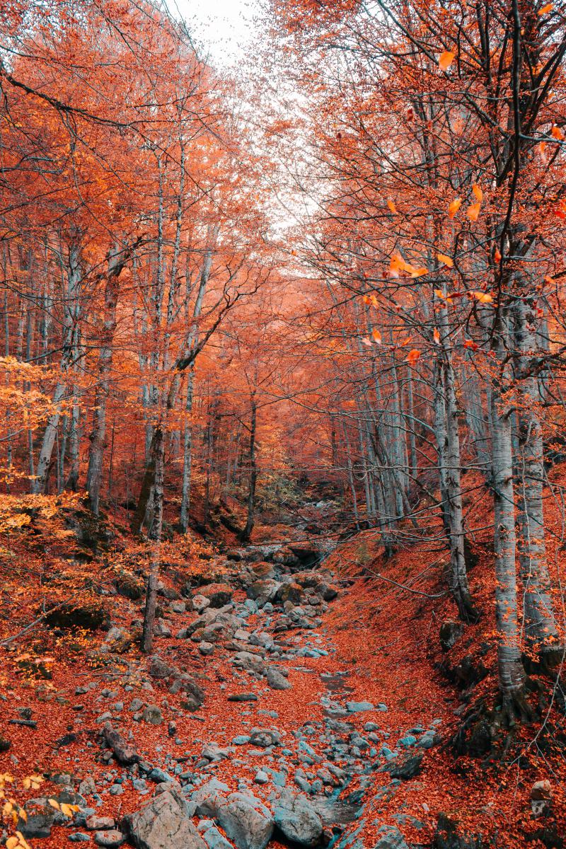 秋天的美林谷:大自然调色盘上的绝美景色 随着秋风轻拂,美林谷进入了