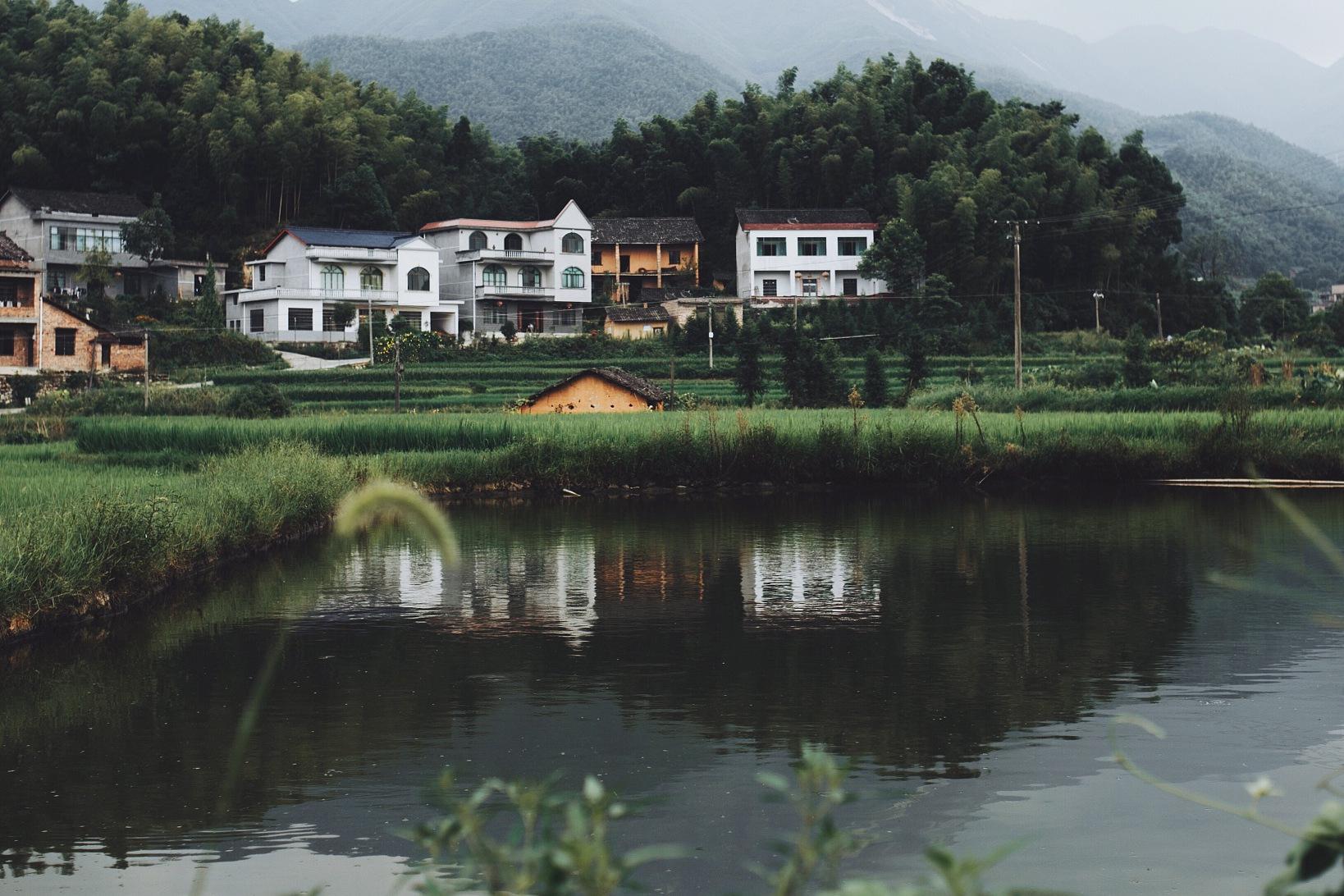 千岛湖上西村:世外桃源 千岛湖上西村是一个名副其实的世外桃源.