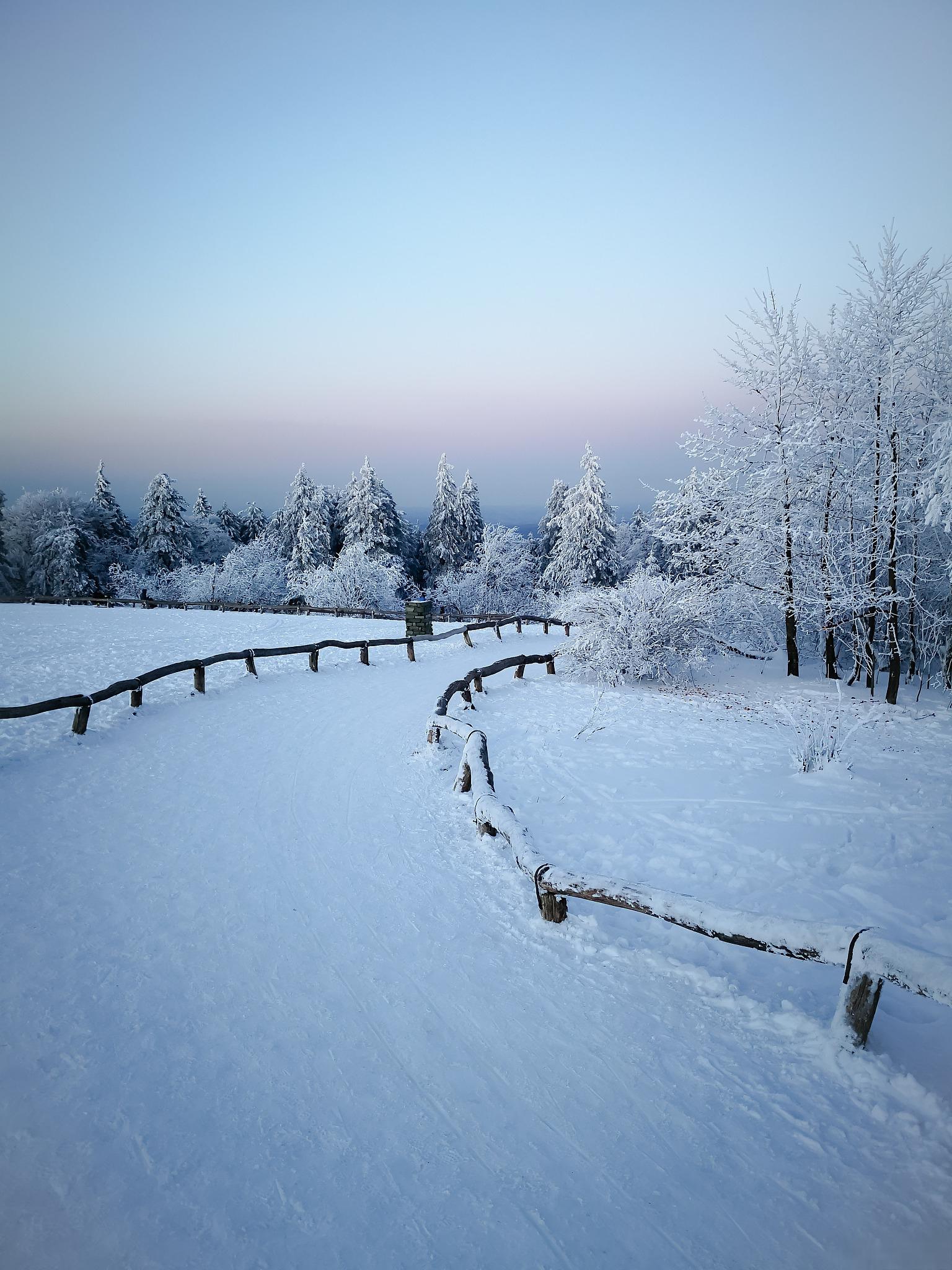 东北雪景图片竖屏壁纸图片