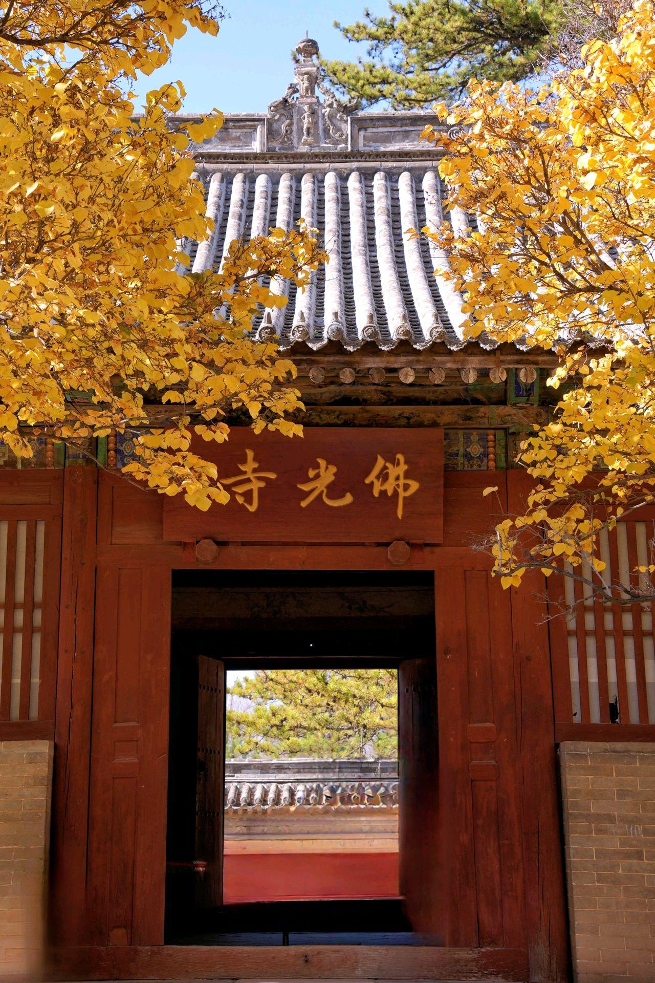 秋日环游指南:探秘佛光寺 秋日的佛光寺,坐落在五台山南台西麓,承载着