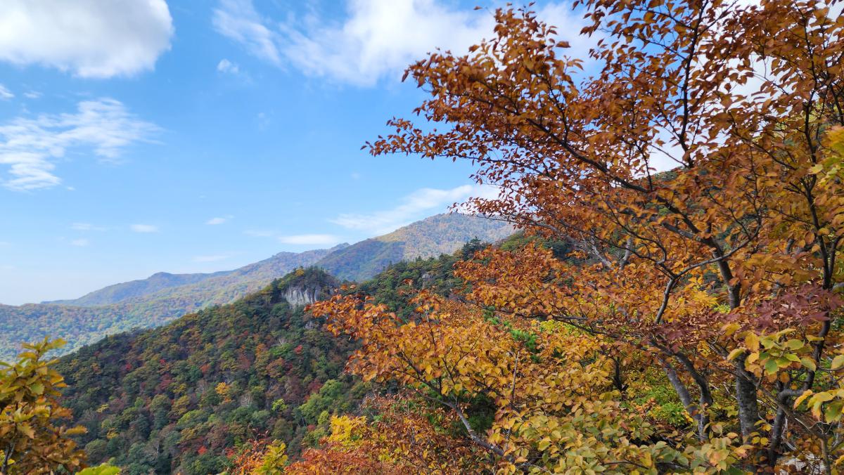 南川山王坪的秋天:红叶的魅力与远方的呼唤 当金色的阳光穿过晨雾,洒