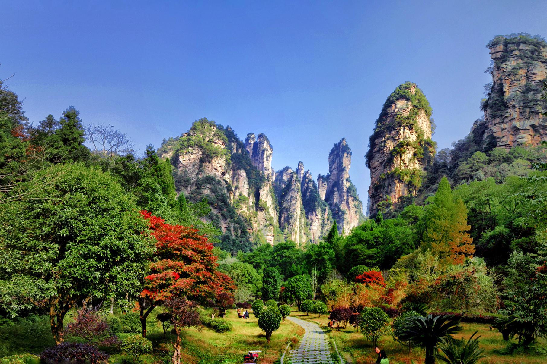 崇山:张家界秋天的浪漫之最 崇山,这座位于张家界市西南部与天门山