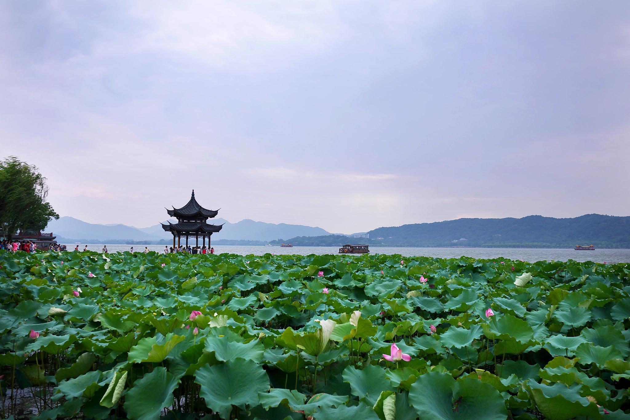 美如花域,令人难以抗拒的旅游天堂 杭州西湖以其优美的自然风光和丰富