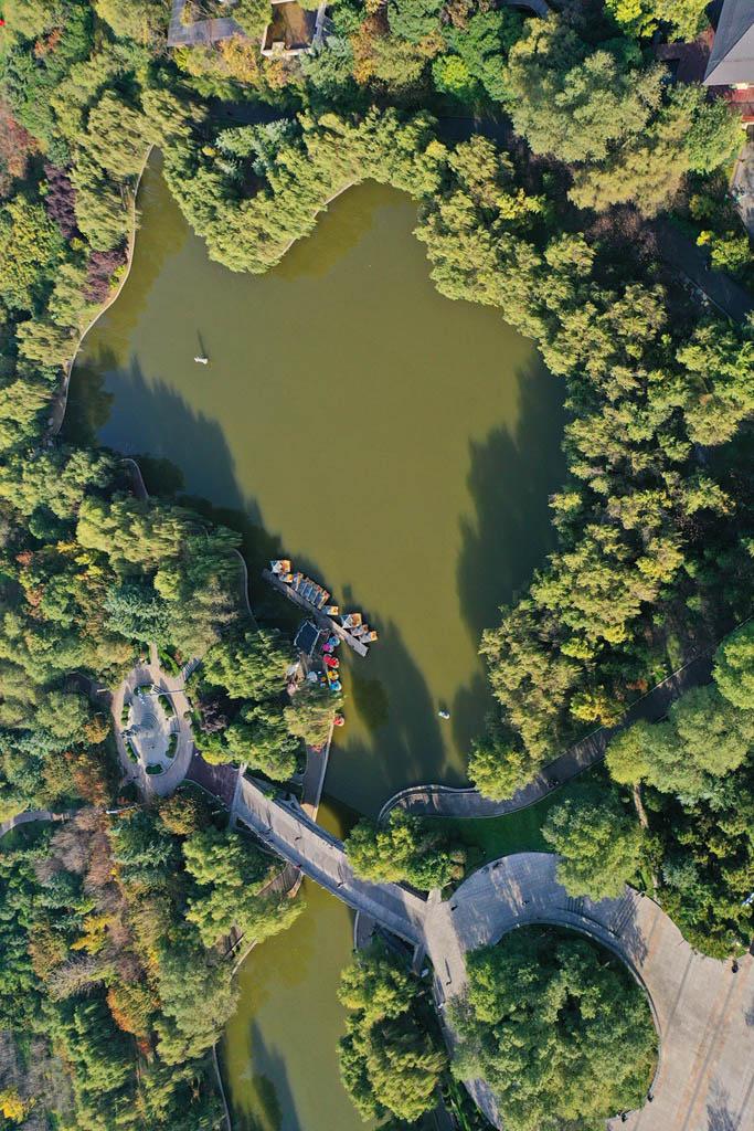 俯视清凉山森林公园 不同于其他公园,清凉山森林公园是一座山上的公园