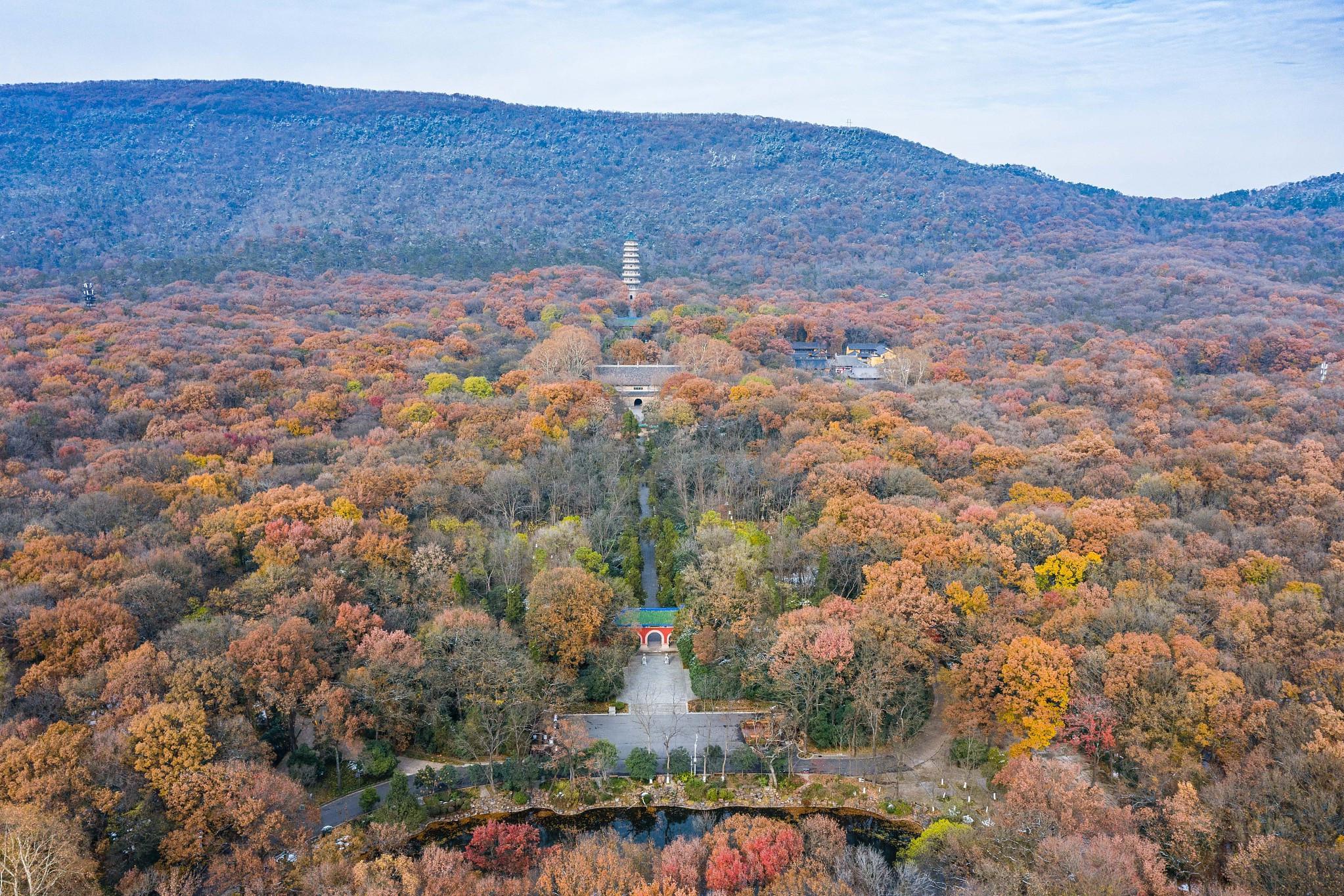 南京钟山风景区秋季旅游推荐 钟山风景区位于江苏省南京市,是南京最著