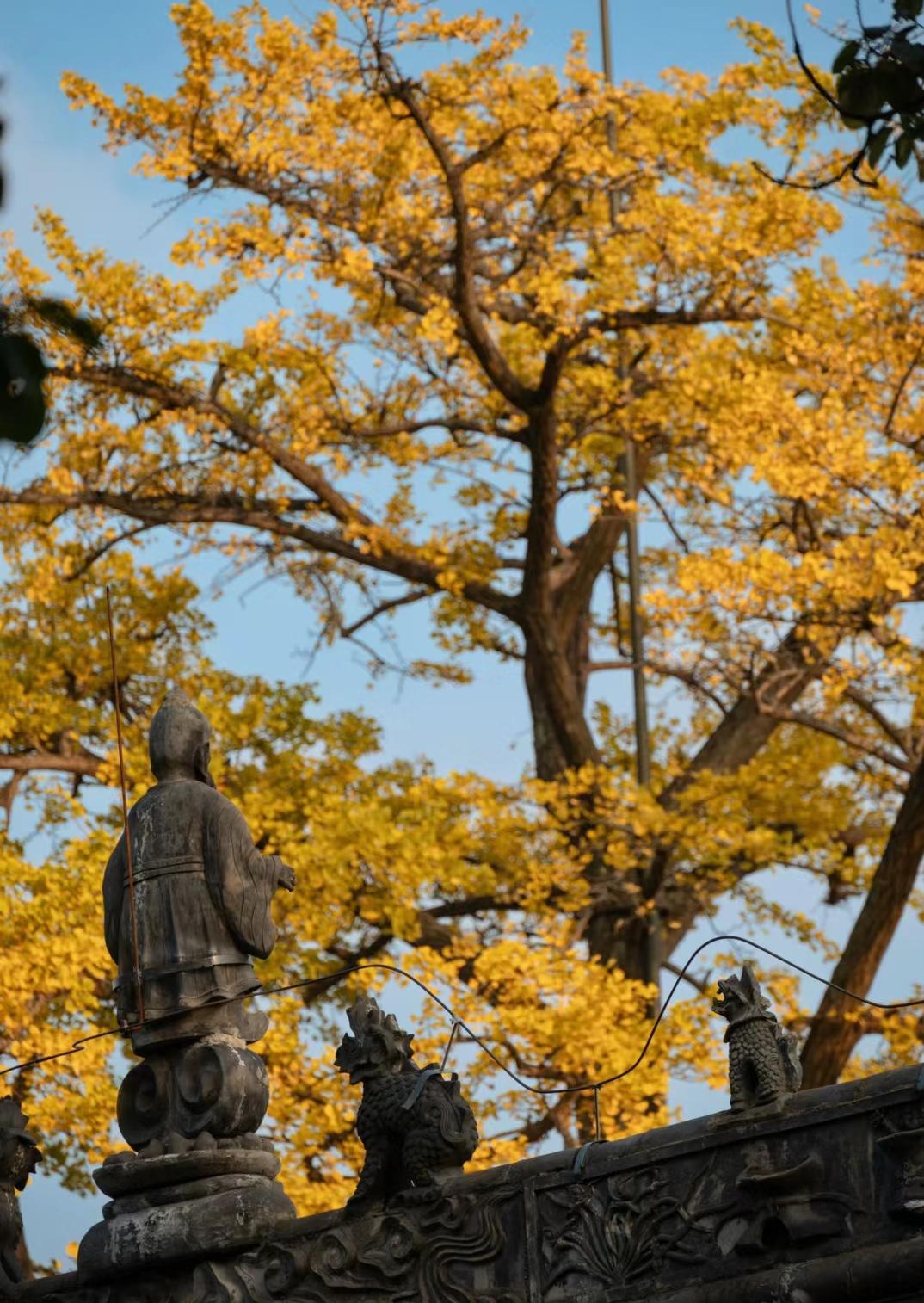 金堂云顶山寺,历史与自然的交融之地 在成都周边,隐藏着一处历史与