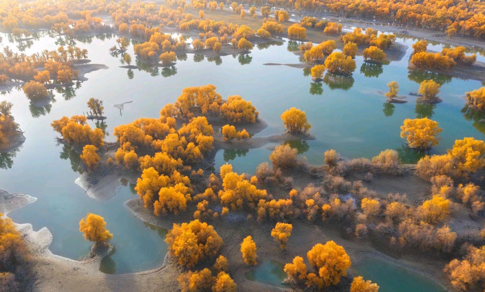 塔里木河:沙漠中的绿色纽带 塔里木河,中国最长的内陆河流,也是新疆