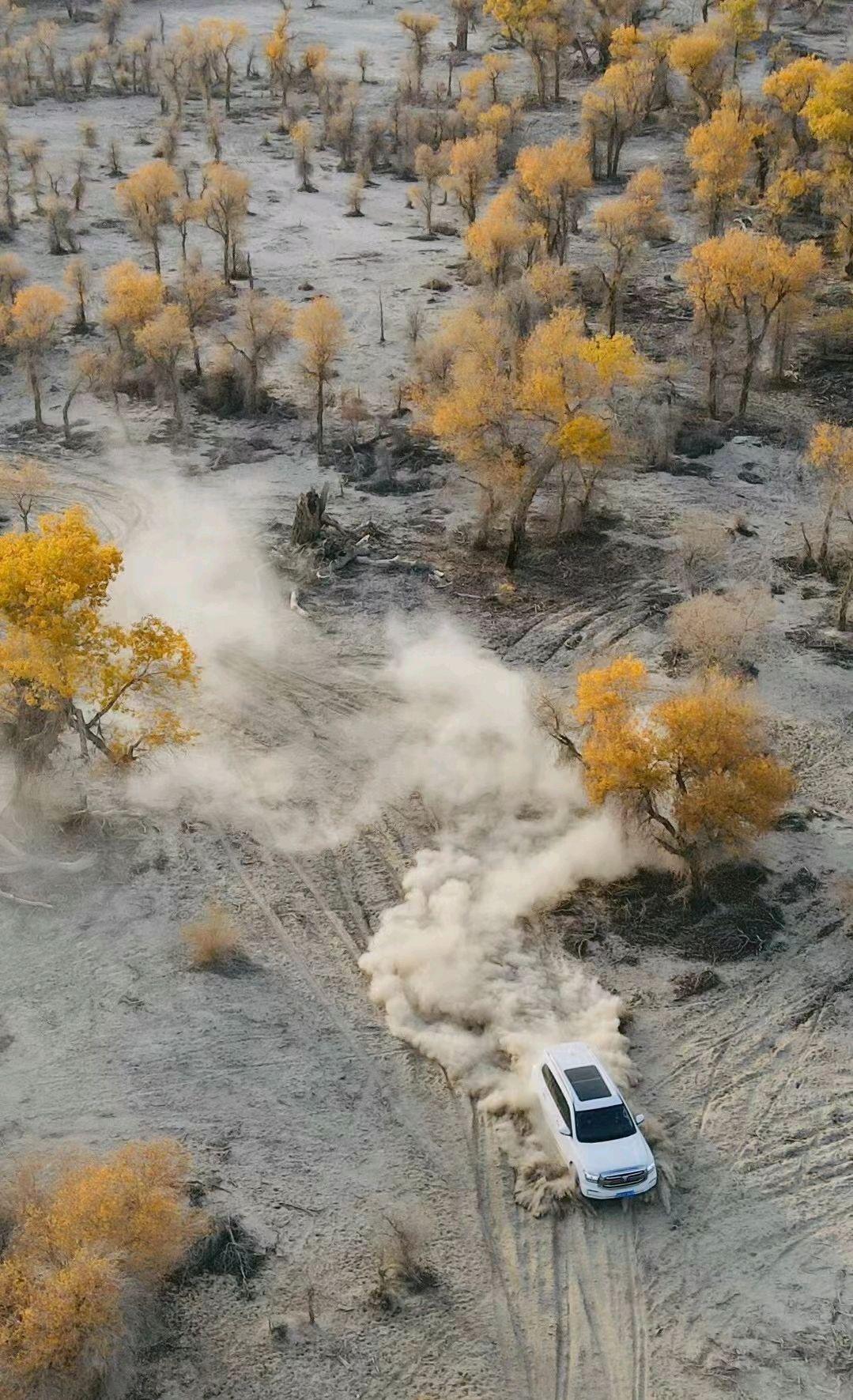 塔里木河:沙漠中的绿色纽带 塔里木河,中国最长的内陆河流,也是新疆