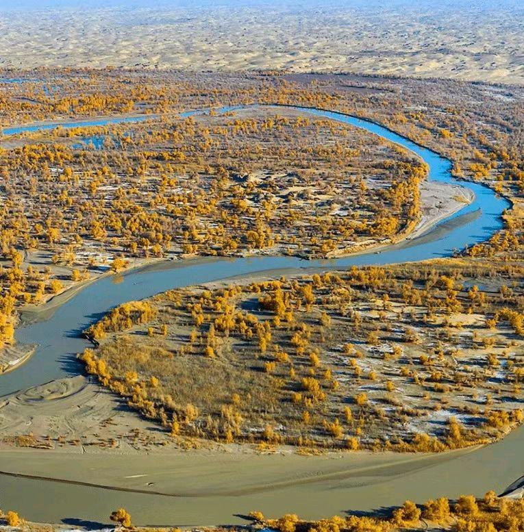 塔里木河:沙漠中的绿色纽带 塔里木河,中国最长的内陆河流,也是新疆