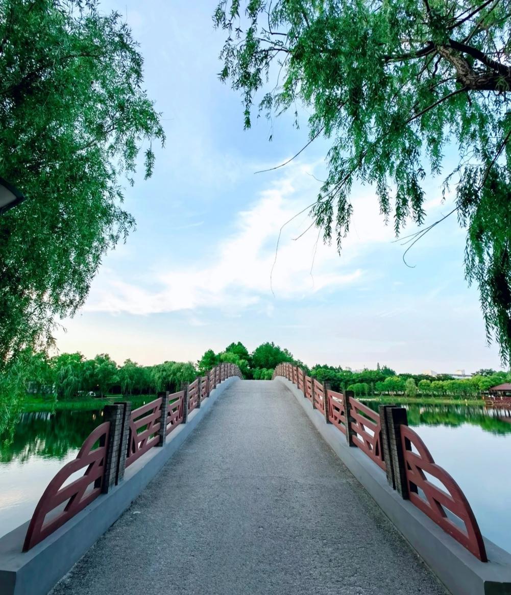 上海浦东新区风景图片