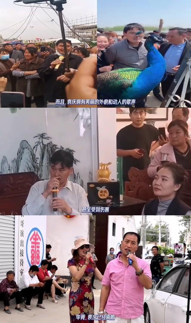 大衣嫂唱歌图片