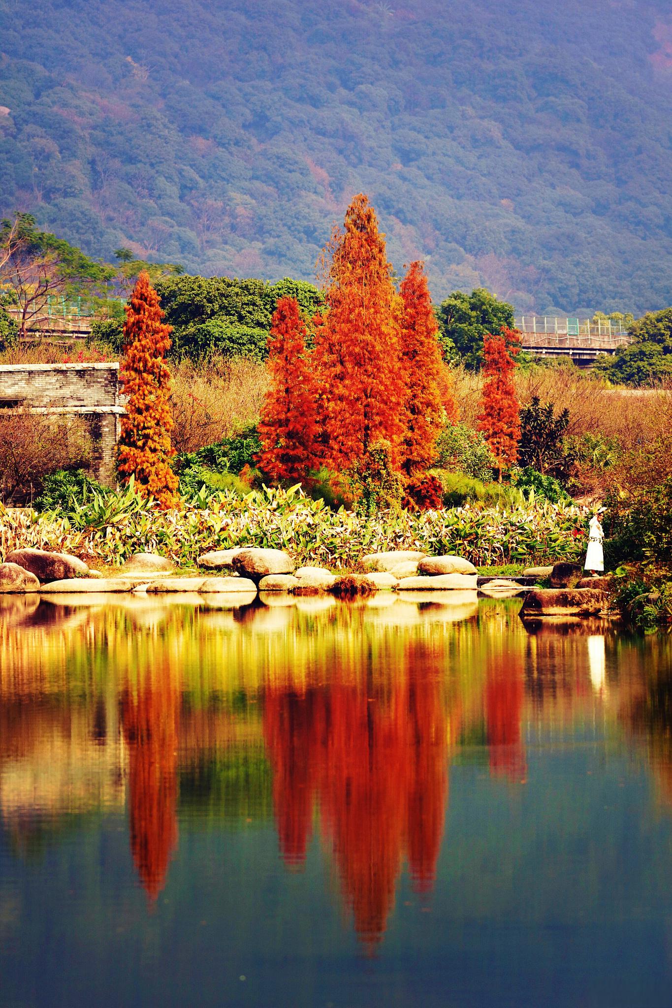 南京银杏湖旅游度假区 南京银杏湖旅游度假区位于南京市江宁区,距离市