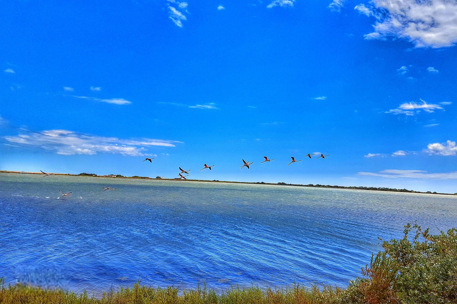 乌梁素海:内蒙古的明珠 在内蒙古自治区的乌拉特前旗,有一颗明珠闪耀