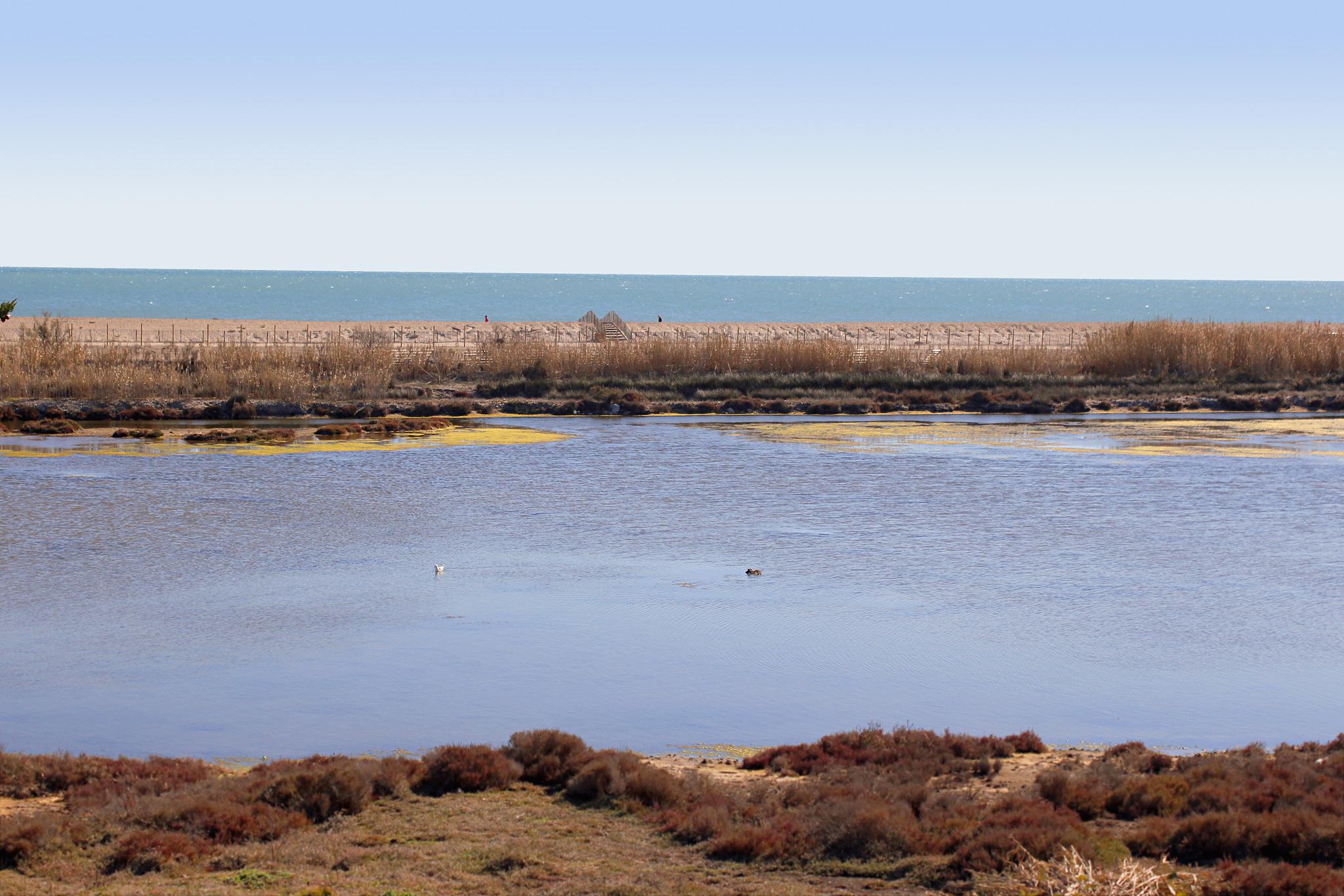 乌梁素海:内蒙古的明珠 在内蒙古自治区的乌拉特前旗,有一颗明珠闪耀