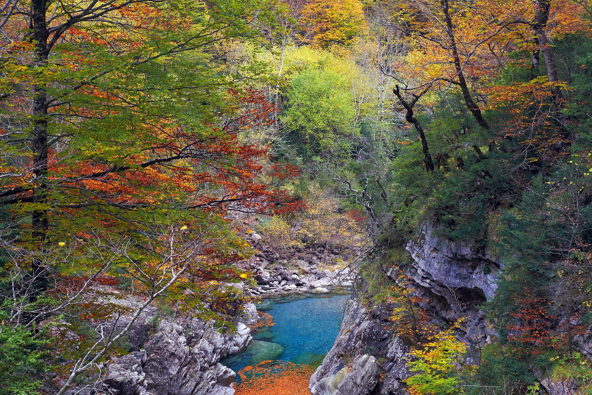 株洲炎陵的五彩谷:人间秘境,色彩之王国 株洲炎陵县隐藏着一个令人