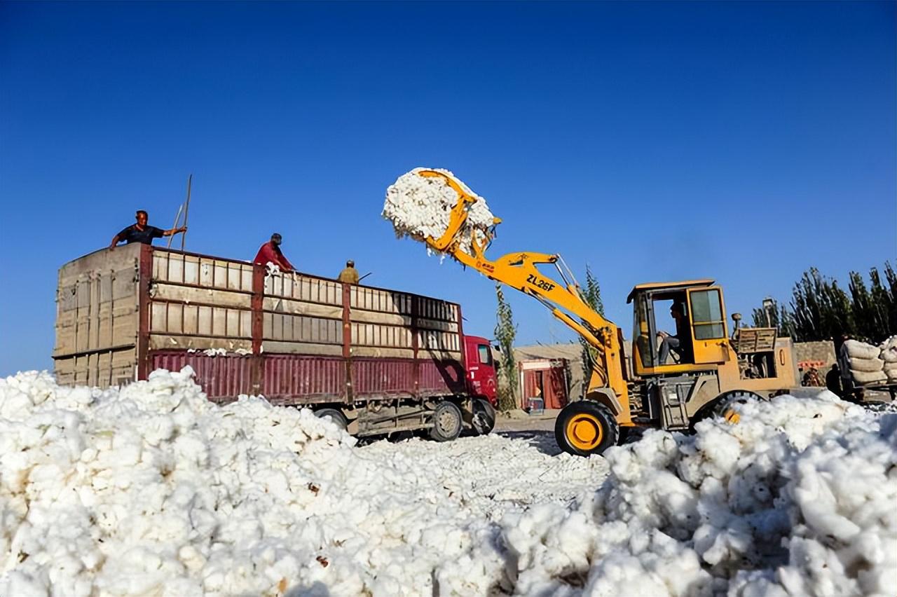 中国每年进口高达200万吨的棉花,同时又出口大量的新疆棉花,这背后的