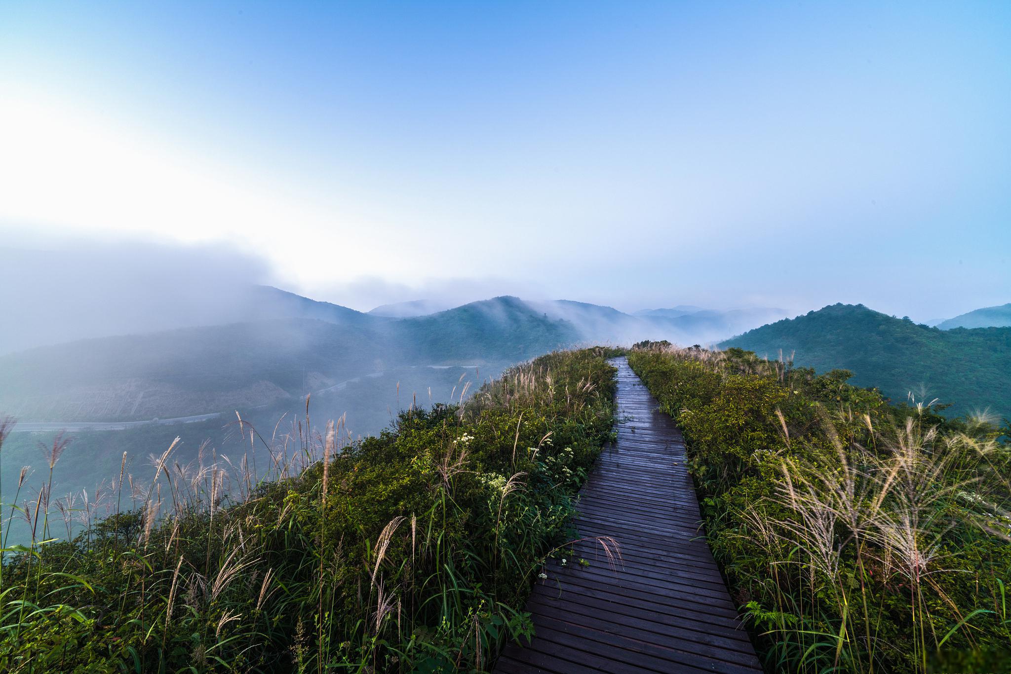 大围山国家森林公园旅游攻略 大@狂热风光景的动态