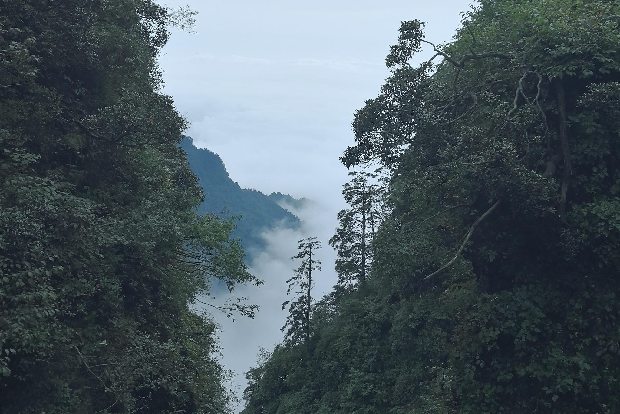 四川风景图片真实图片