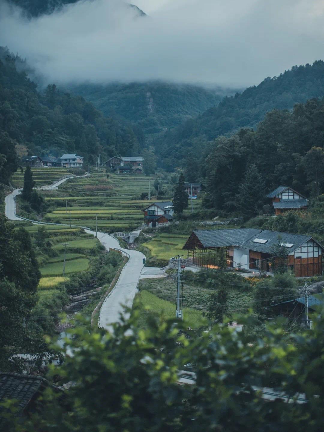 贵州梧桐山图片