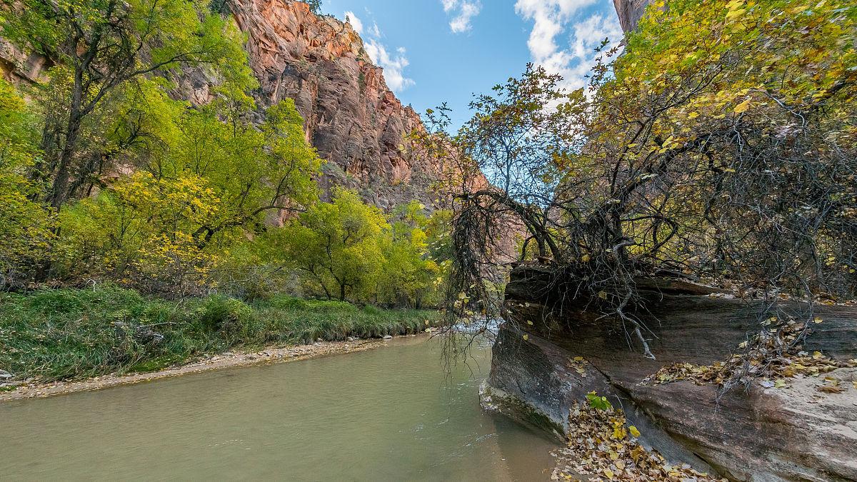 平谷梨树沟景区攻略 想要深入了解平谷梨树沟景区的游玩攻略吗?
