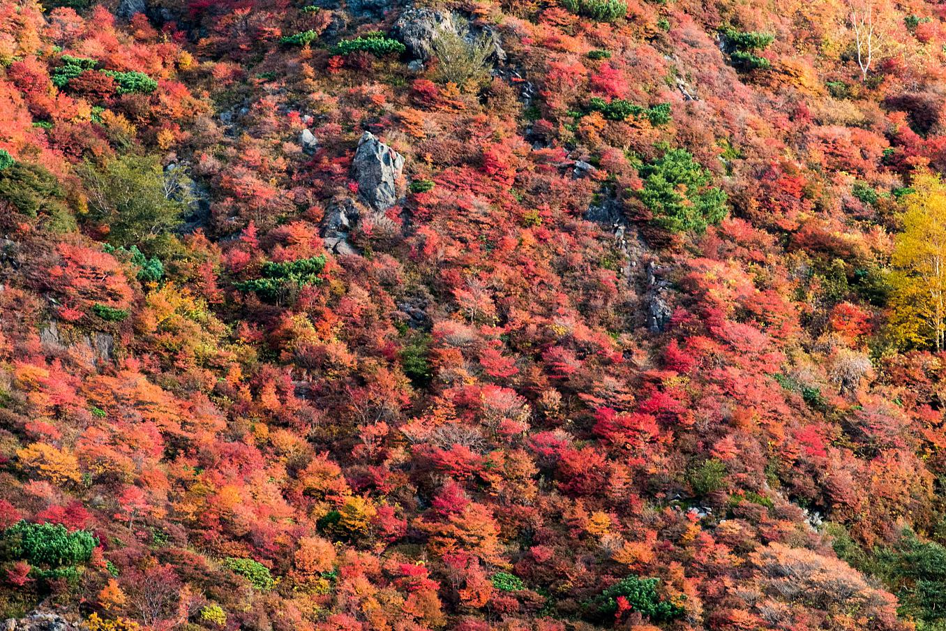 仙台山风景区图片图片