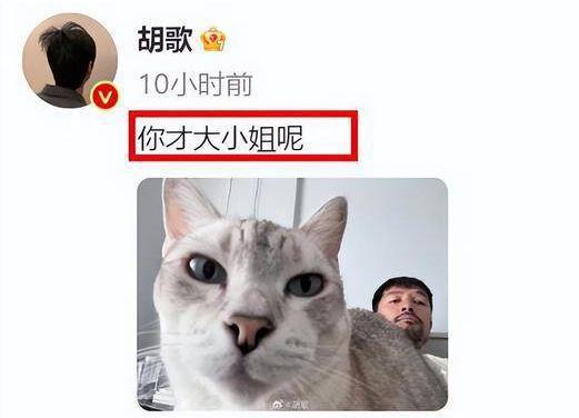胡歌:好爸爸的故事 胡歌晒出了一张与小猫的合照,照片中,胡歌躲在后面