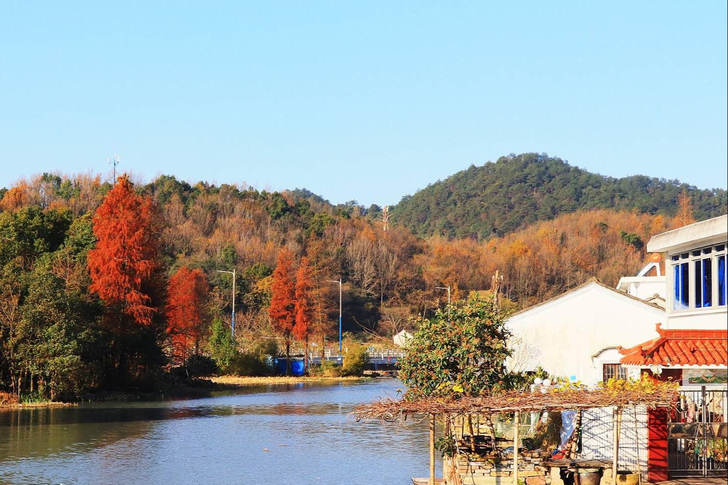 建设村:宁波东钱湖的历史文化名村 在宁波东钱湖的怀抱中,隐藏着一个