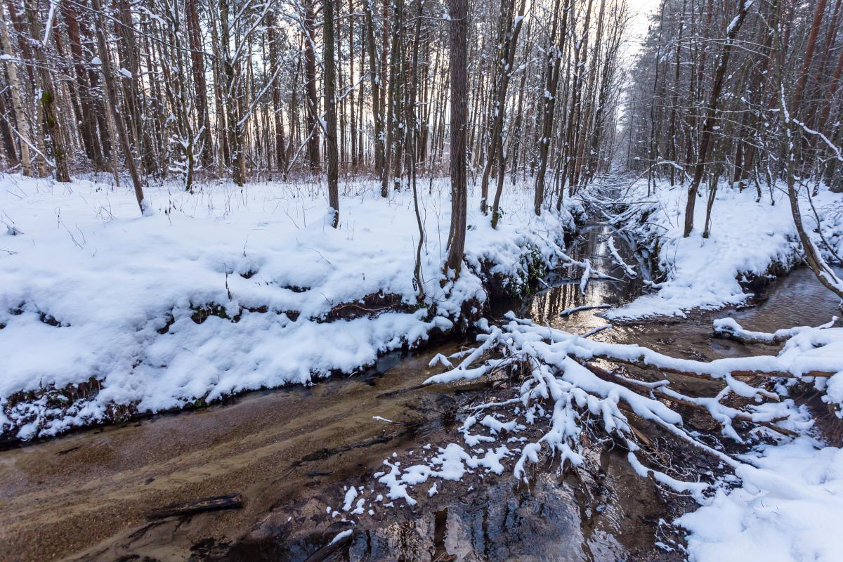 转眼间,我们迎来了寒风刺骨,白雪皑皑的冬天.