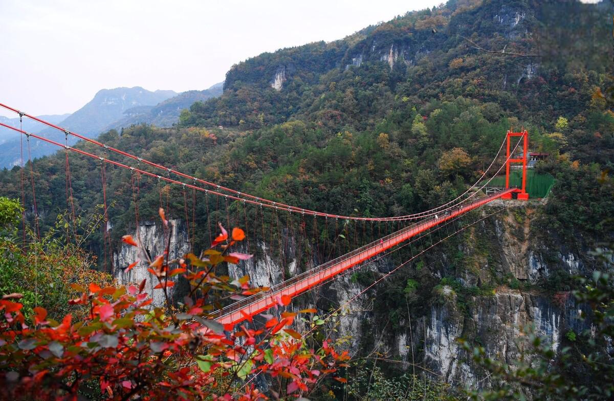 湖北襄阳保康县九路寨,秋季红叶胜景 近日,湖北襄阳市保康县九路寨