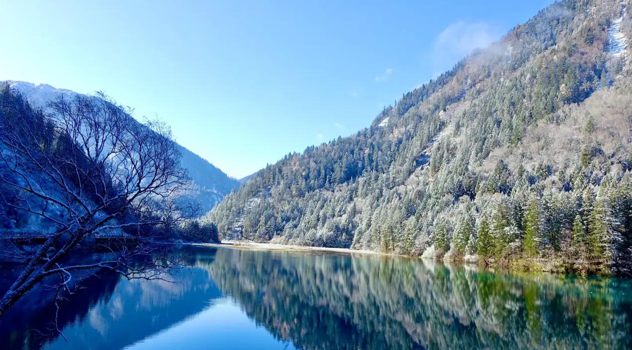 冬季九寨沟之旅 7615冰雪世界 在九寨沟的箭竹海观光车停靠处