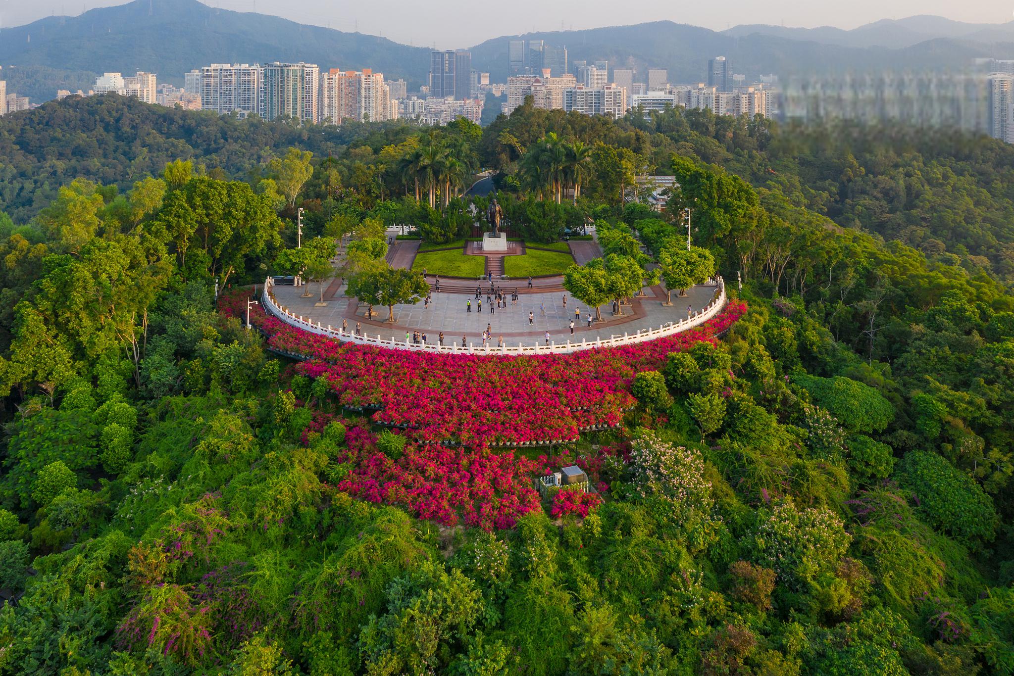 深圳福田旅游景点大全图片