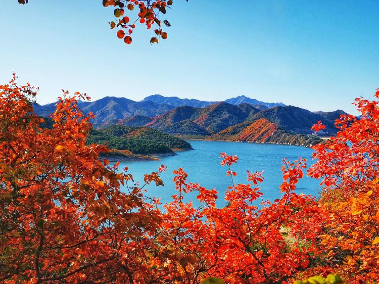 你不可错过的美景和活动 金海湖风景区,又称海子水库,位于北京市平谷